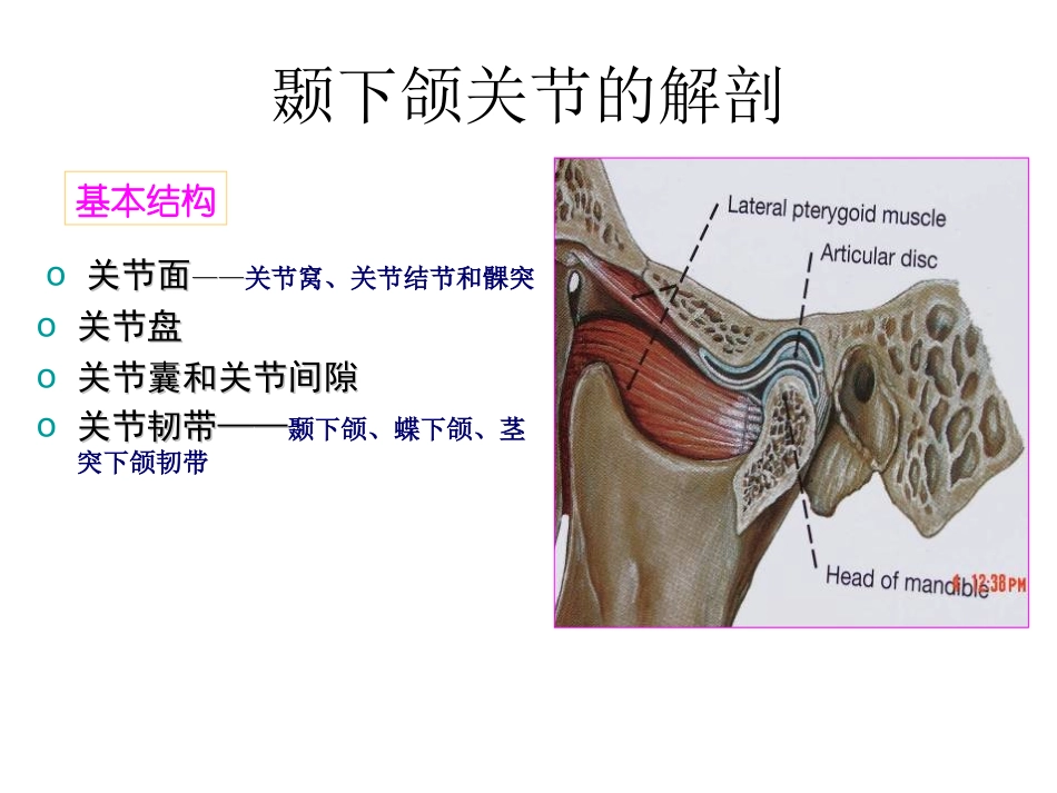 颞下颌关节课件_第2页