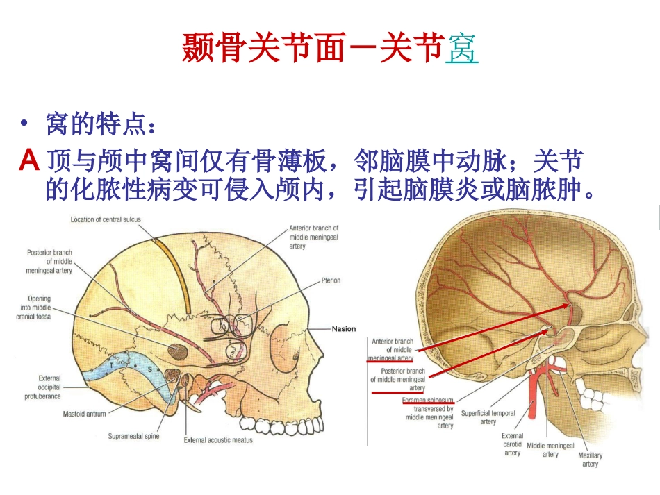 颞下颌关节课件_第3页
