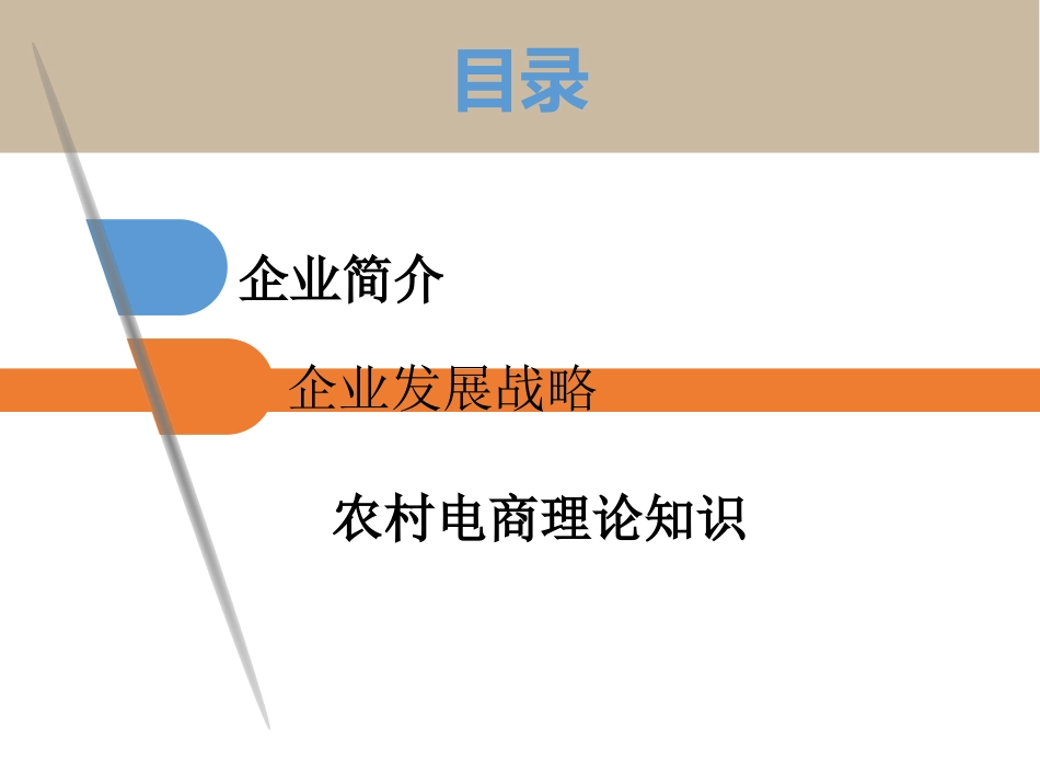 农村电商服务站站主培训_第2页