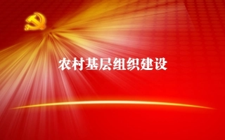 农村基层组织建设课件