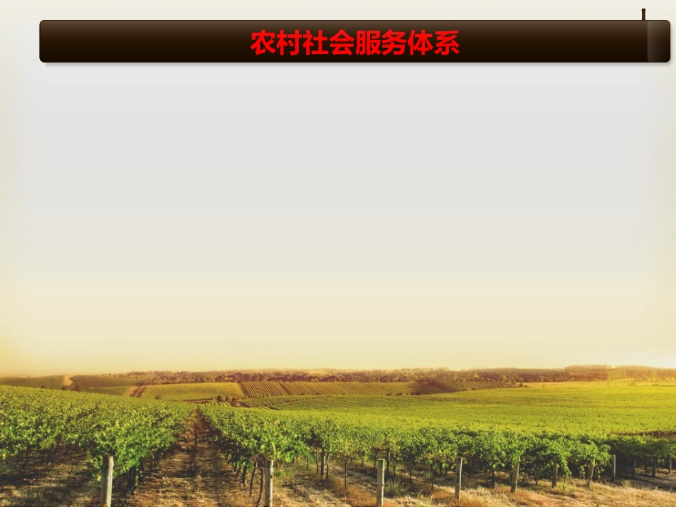 农村社会学课件_第2页