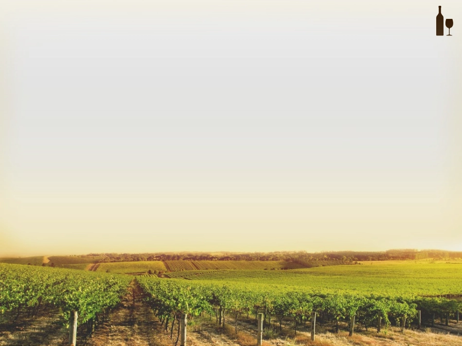 农村社会学课件_第3页