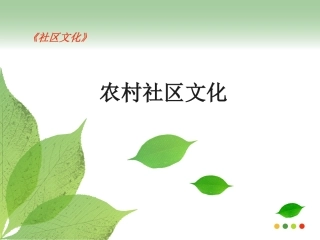 农村社区文化