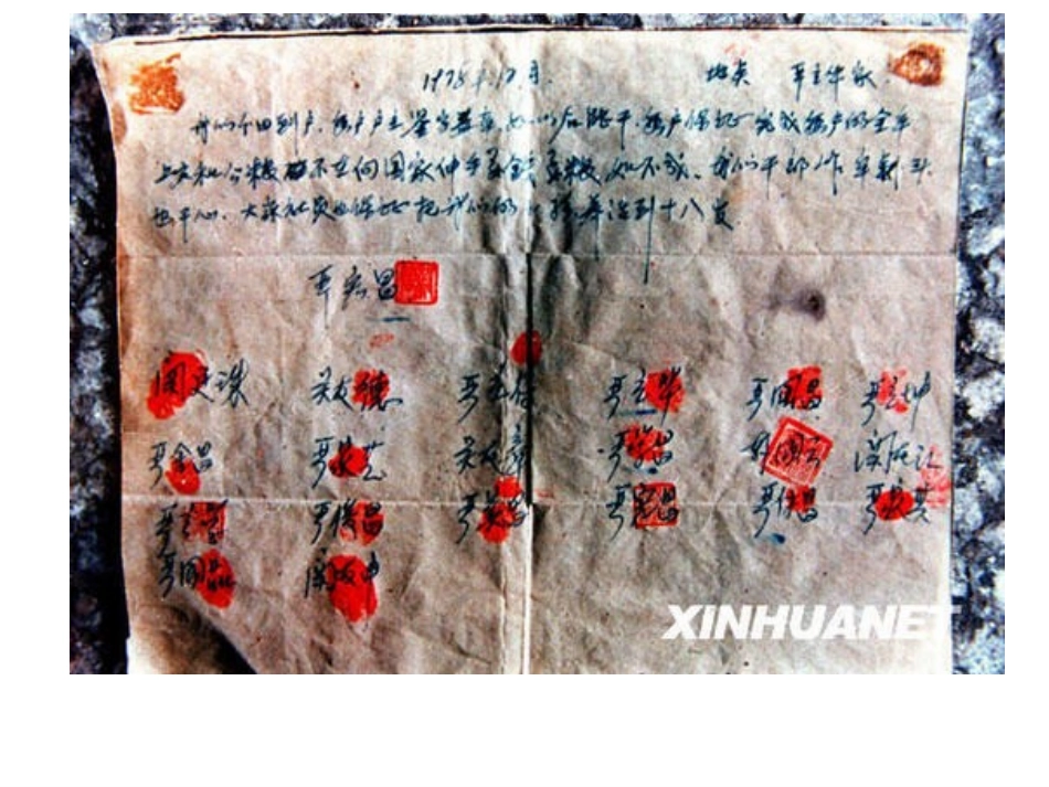 农村土地确权教程_第3页