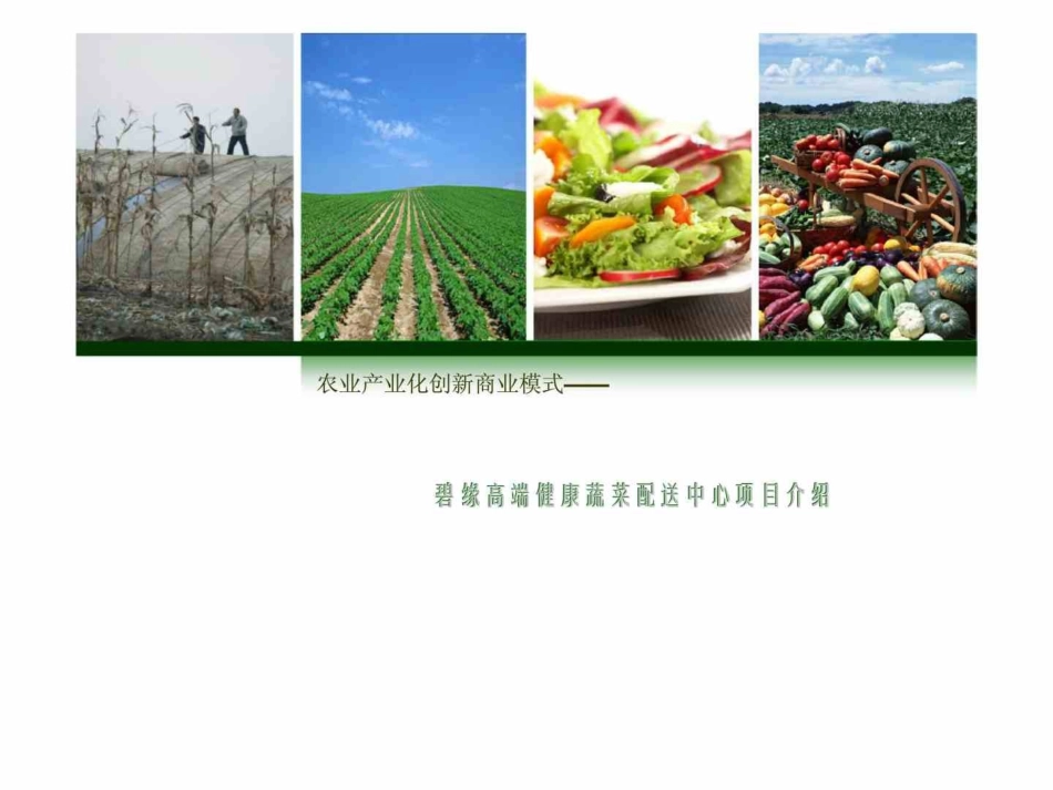 农业产业化创新商业模式碧缘高端健康蔬菜配送中心项目介绍_第1页