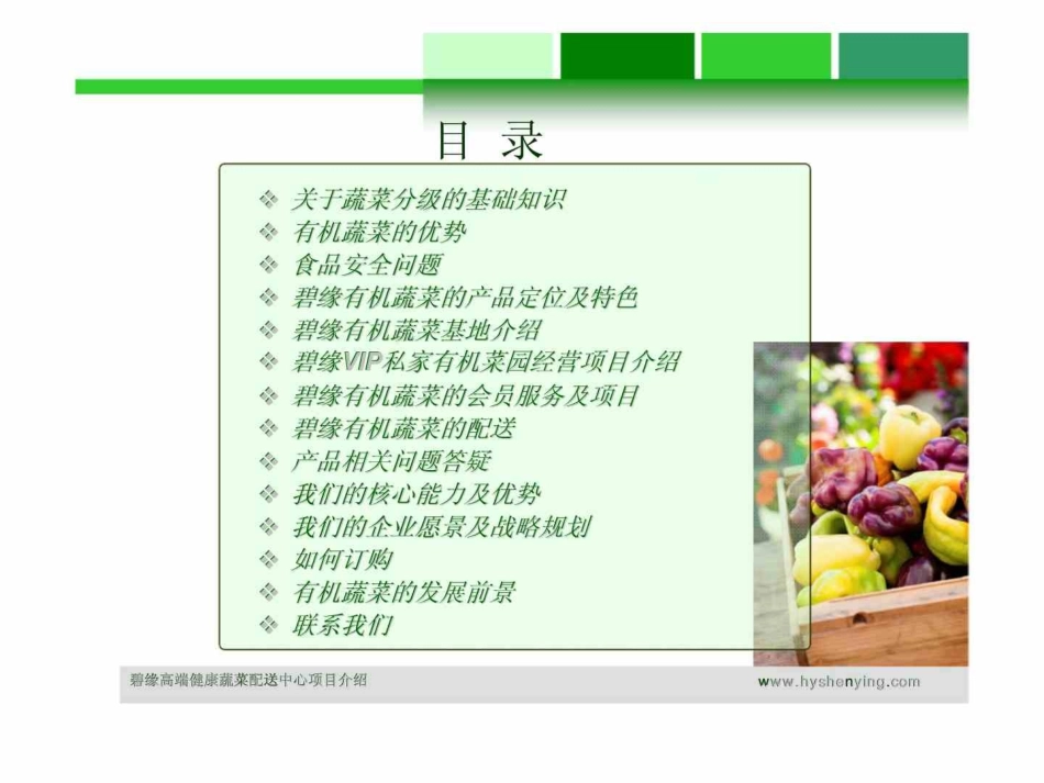 农业产业化创新商业模式碧缘高端健康蔬菜配送中心项目介绍_第2页