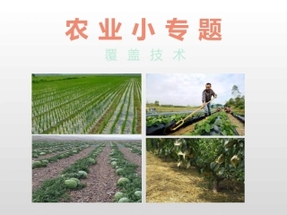 农业小专题覆盖技术