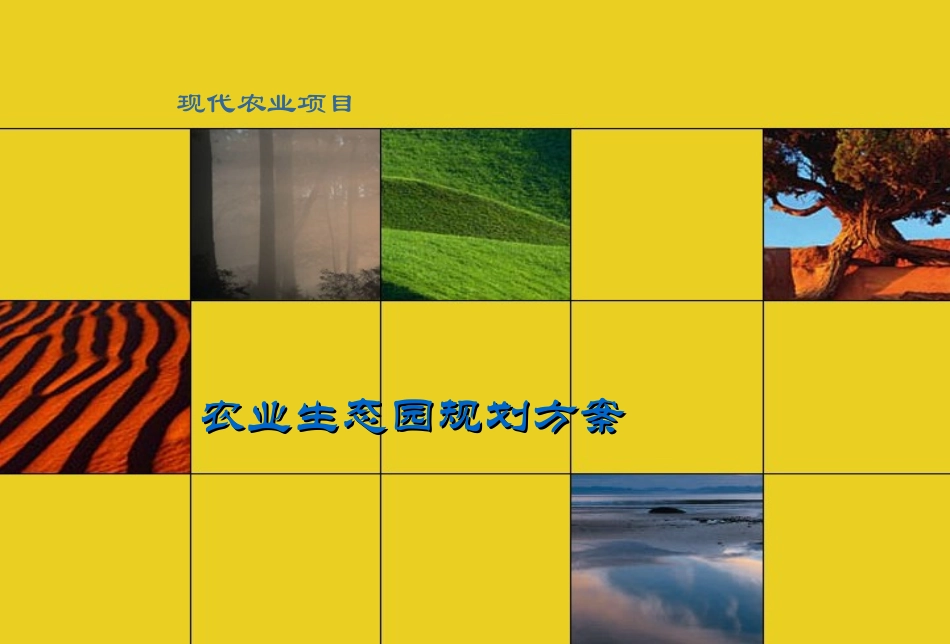 农业园区总体规划方案_第1页