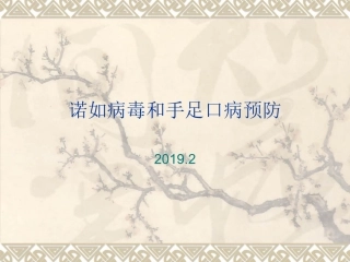 诺如病毒和手足口病预防