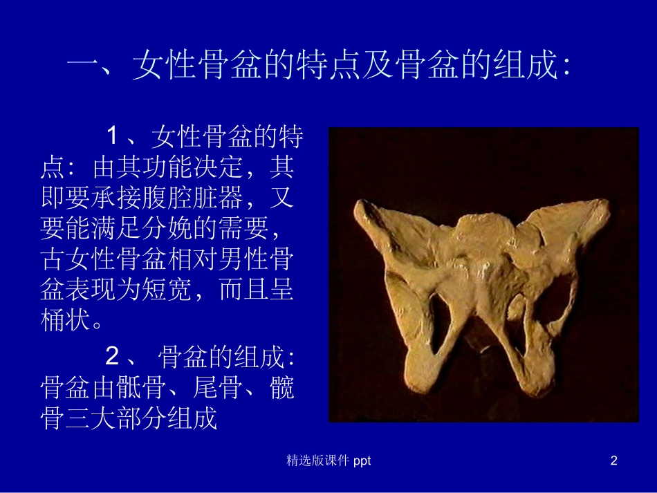 女性骨盆及测量_第2页