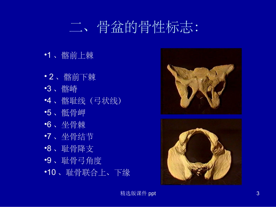 女性骨盆及测量_第3页