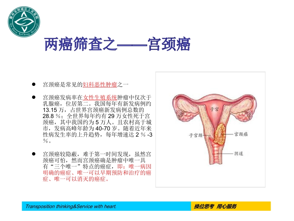 女性健康知识讲座两癌筛查课件_第3页