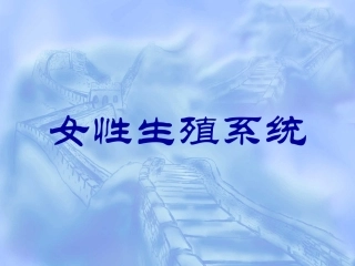 女性生殖系统