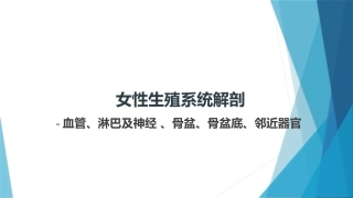 女性生殖系统解剖血管淋巴及神经骨盆骨盆底邻近器官