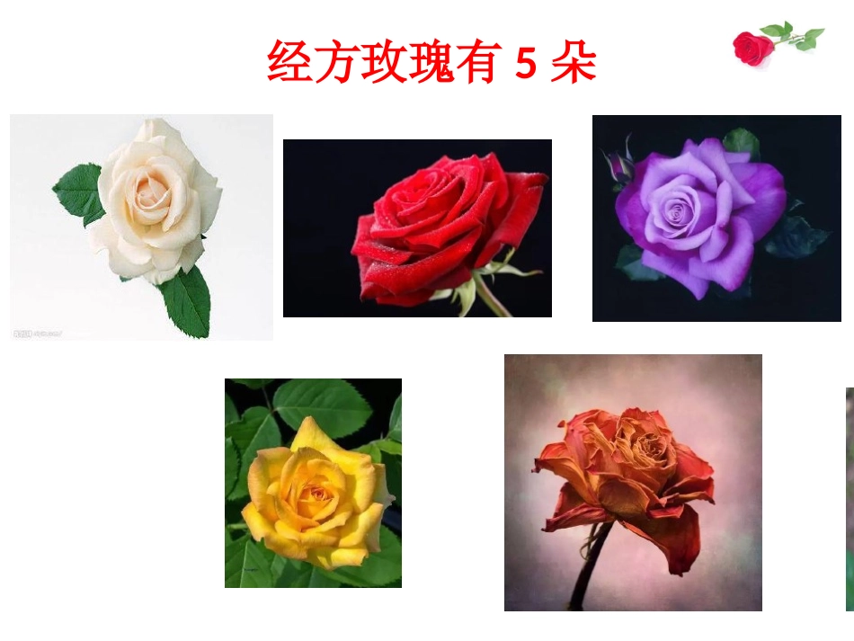 女性体质和经方玫瑰_第3页