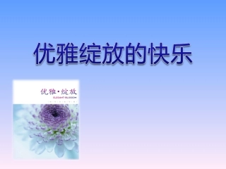 女性需求分析课件