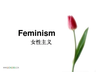 女性主义图文