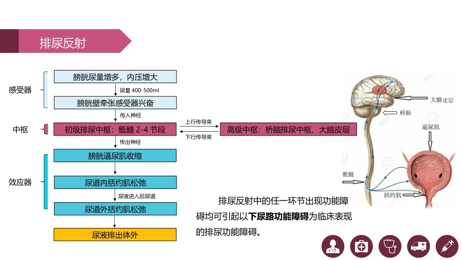 排尿障碍的护理_第3页