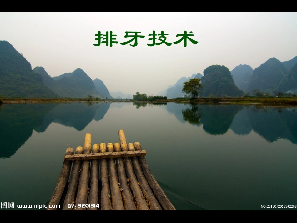 排牙技术课程_第2页