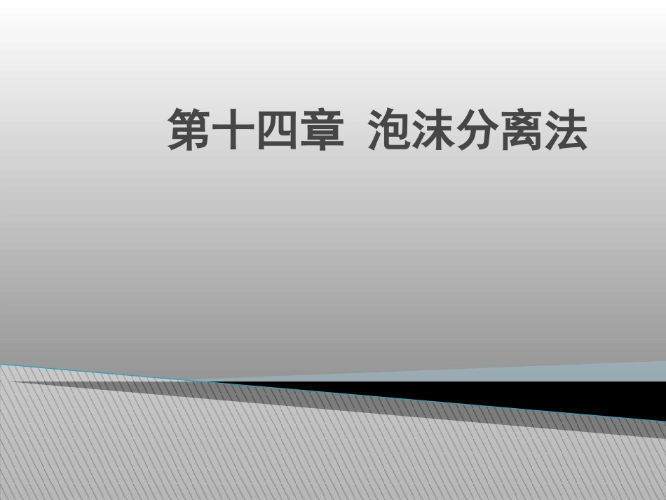 泡沫分离技术_第1页
