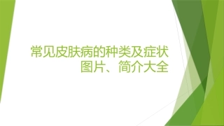 皮肤病的种类及症状图片简介大全讲座培训课件