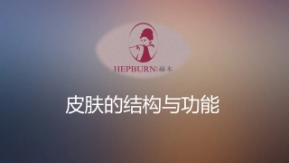 皮肤的结构和生理功能