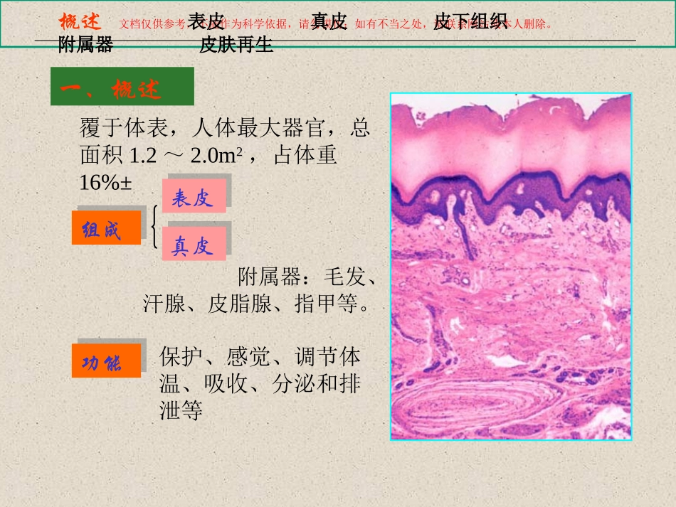 皮肤专业知识讲座课件_第2页