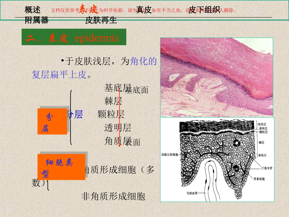 皮肤专业知识讲座课件_第3页