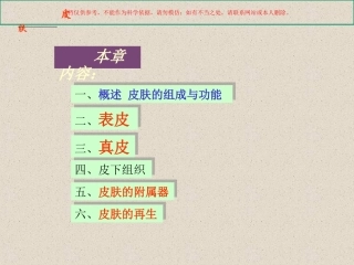 皮肤专业知识讲座课件