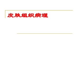 皮肤组织病理