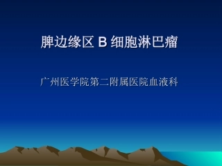 脾边缘区淋巴瘤