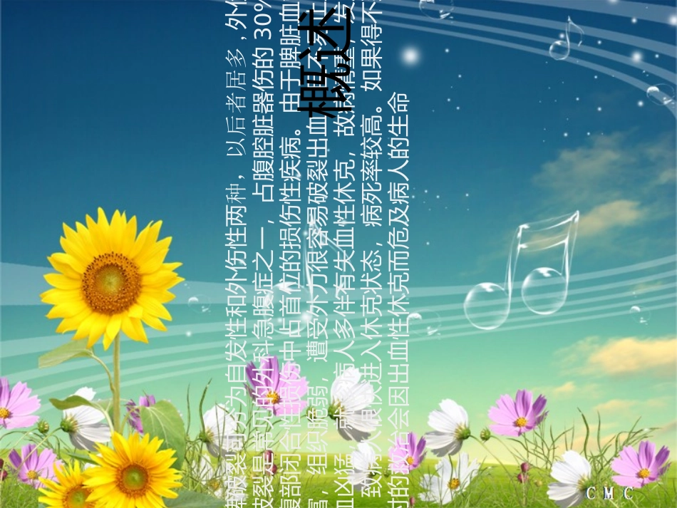 脾破裂的医疗护理讲义_第3页