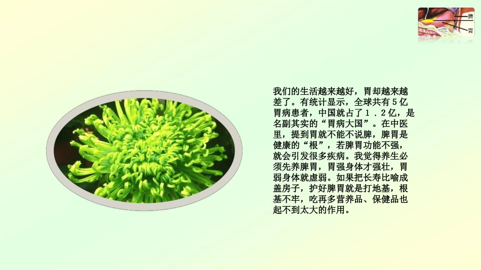 脾胃是健康的根_第2页