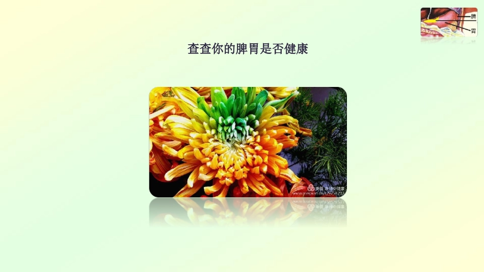 脾胃是健康的根_第3页