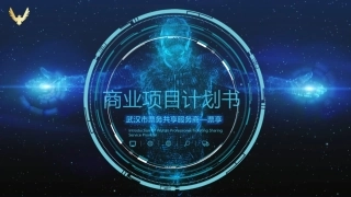 票务商业计划书