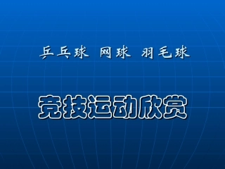 乒乓球网球羽毛球精