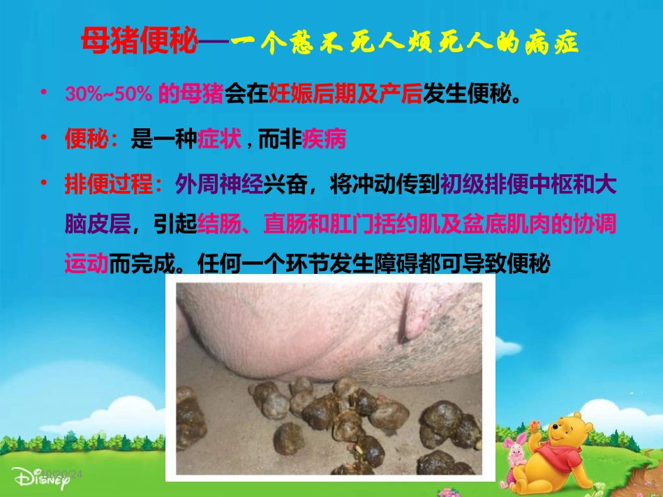 破解母猪便秘课件_第1页