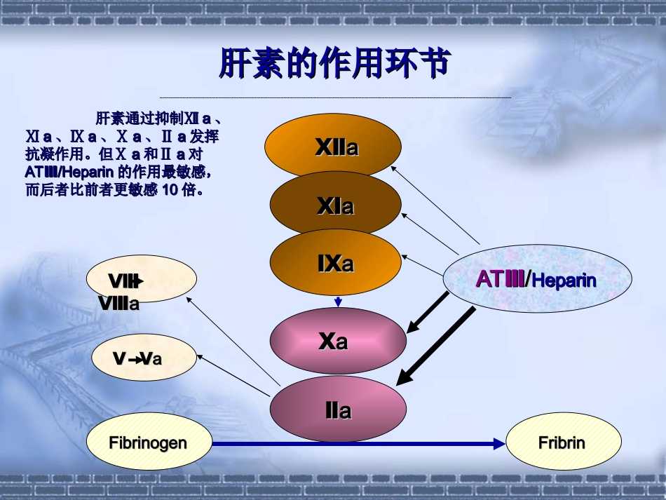 普通肝素和低分子量肝素_第3页