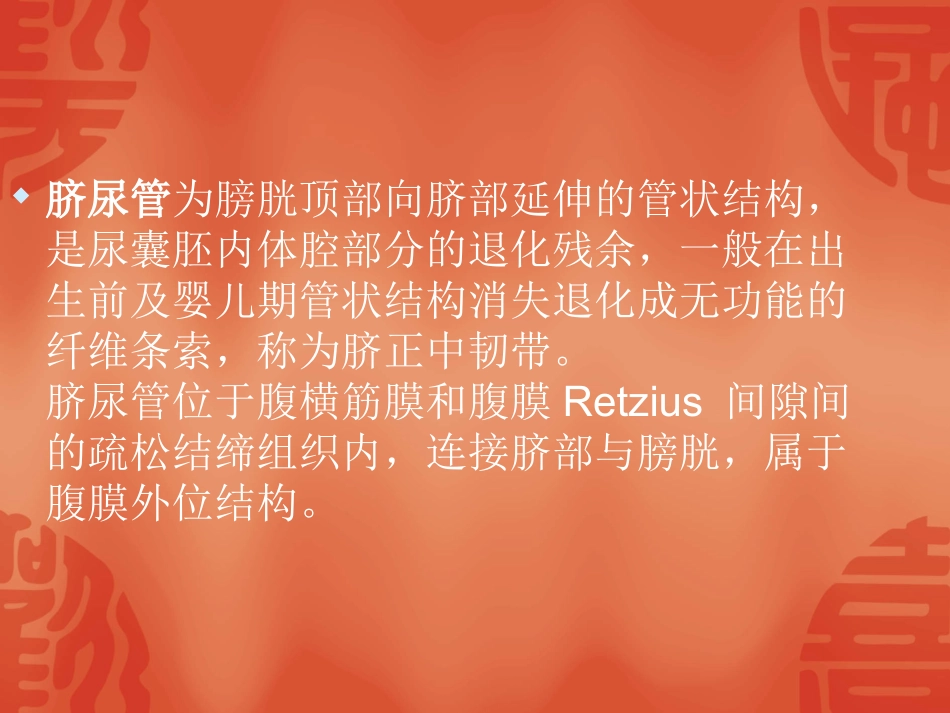 脐尿管病变的CT表现讲义_第2页