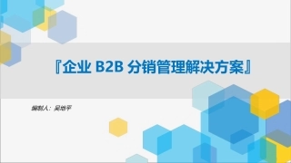企业B2B分销管理平台建设方案