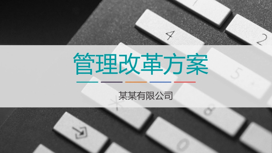 企业管理改革方案_第1页