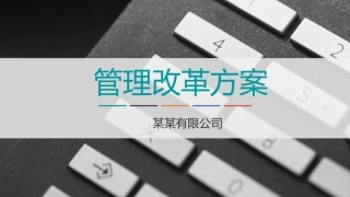 企业管理改革方案