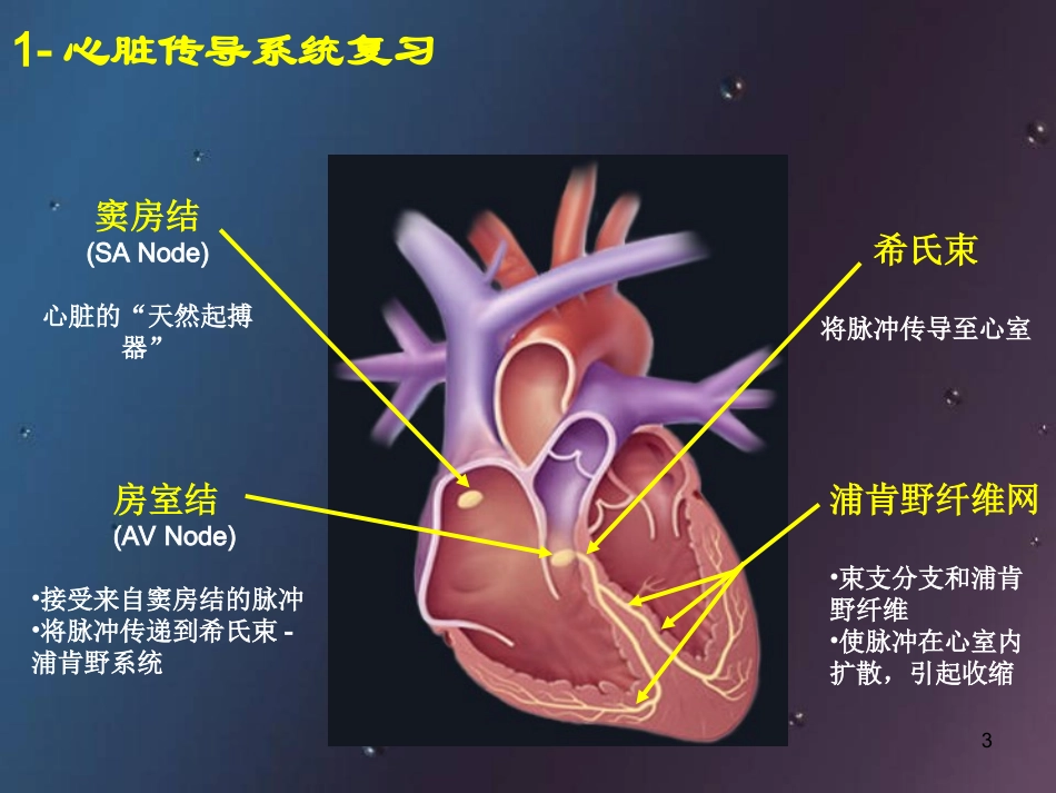 起搏器植入及术后护理医学课件_第3页