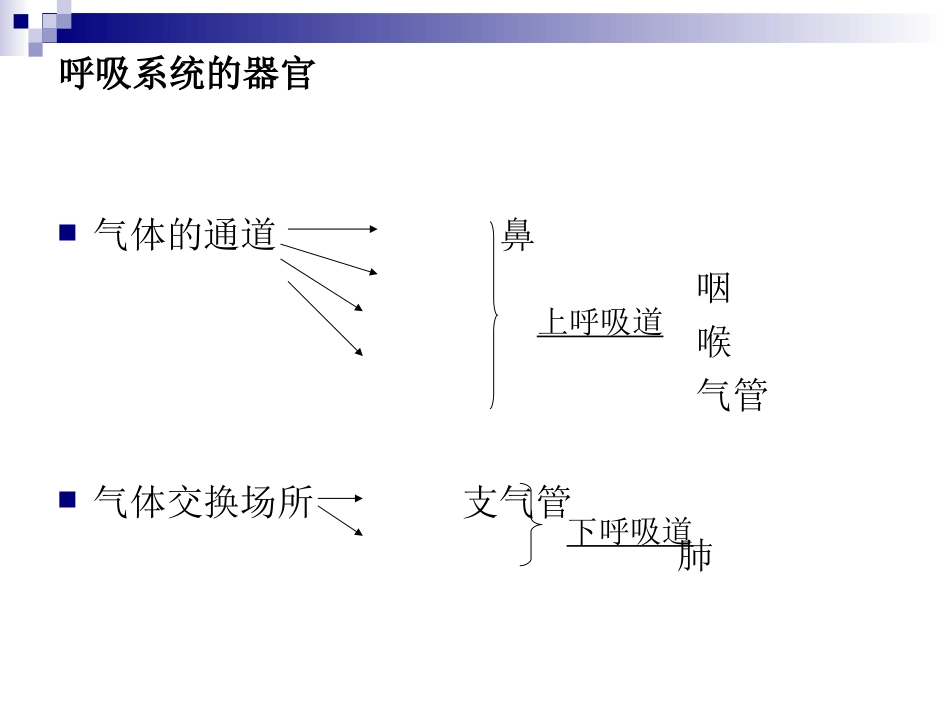 气管插管技术及气道管理_第2页