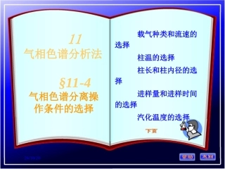 气相色谱分离条件