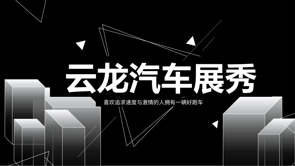 汽车产品发布会_第2页