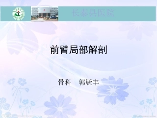 前臂的肌肉神经解剖