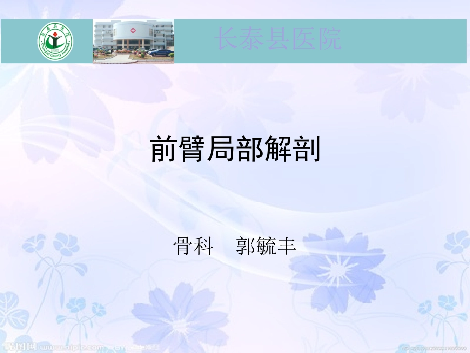 前臂的肌肉神经解剖课件_第1页