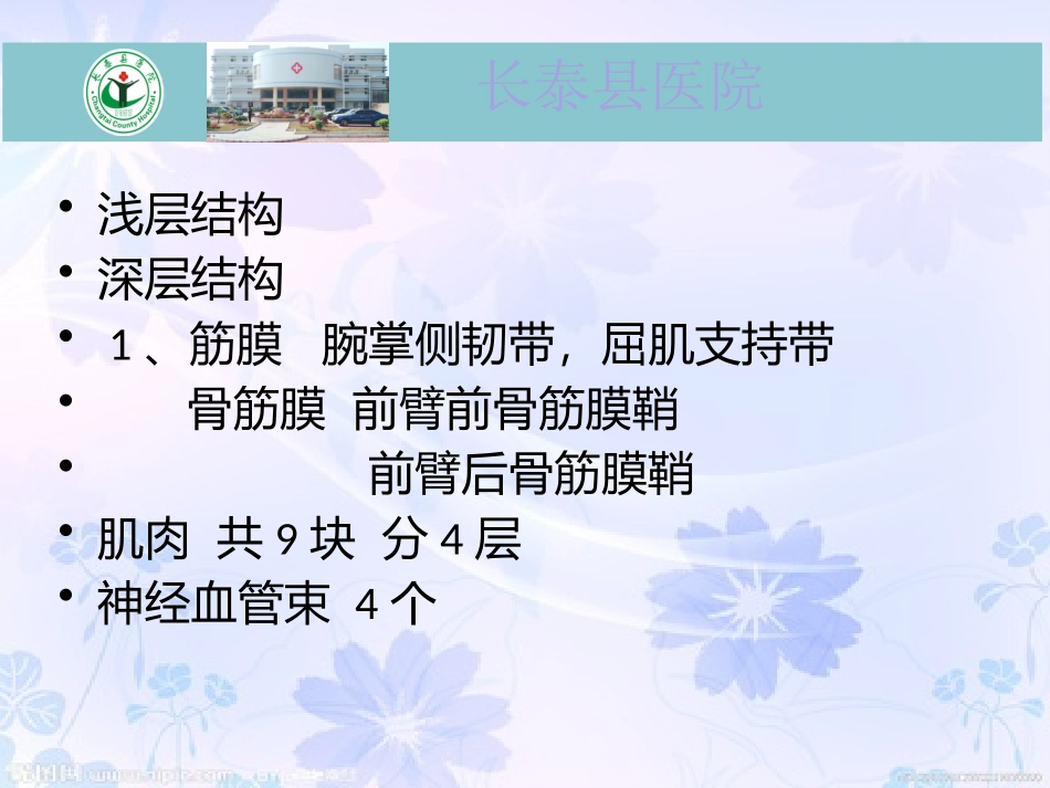 前臂的肌肉神经解剖课件_第3页