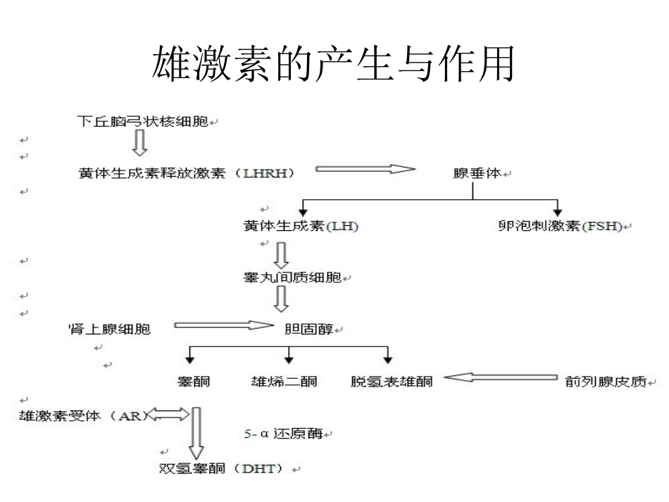前列腺癌内分泌概论_第3页